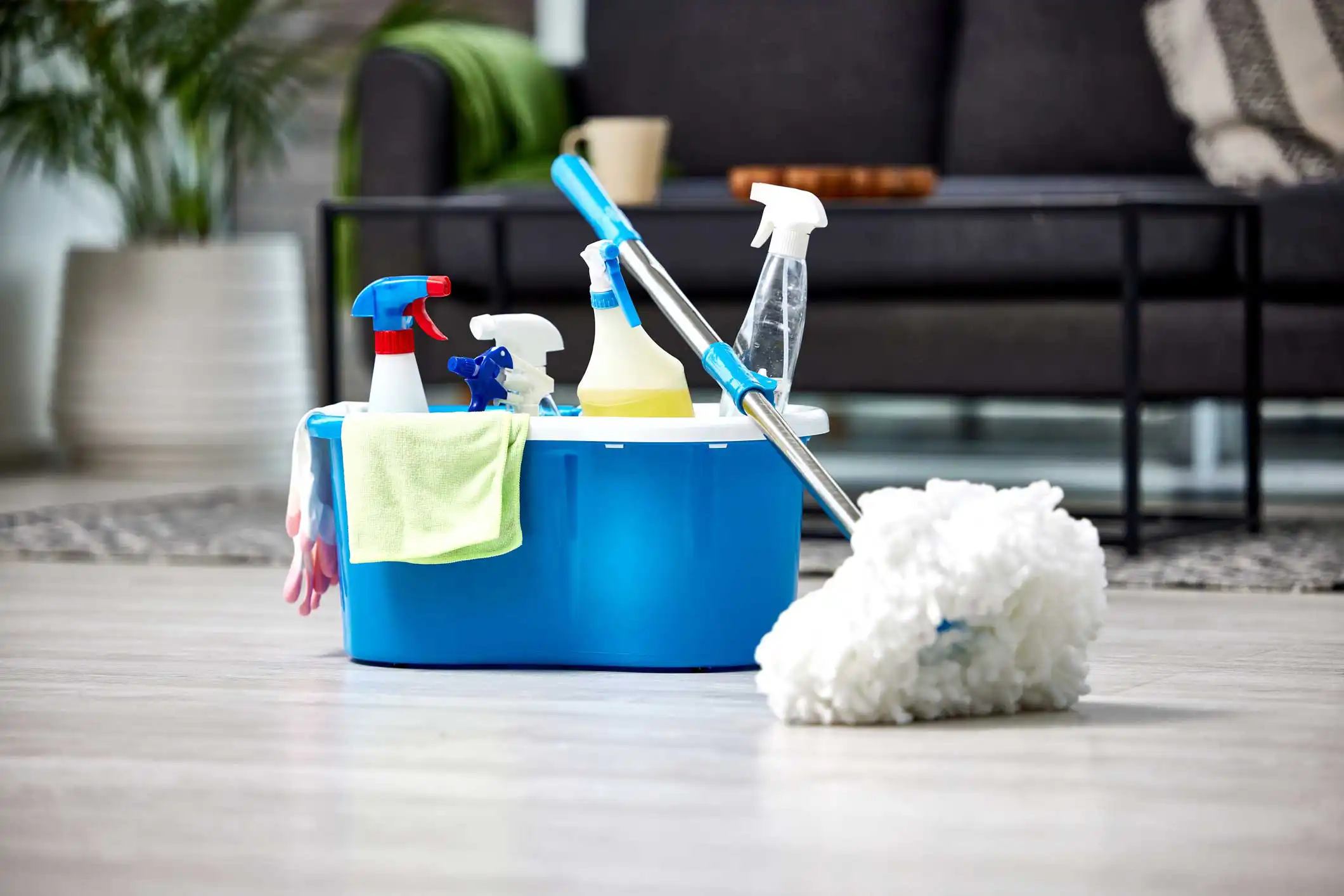 Cleaning Service Cleaning Service
